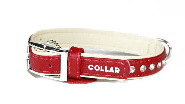 collar.jpg collar.jpg