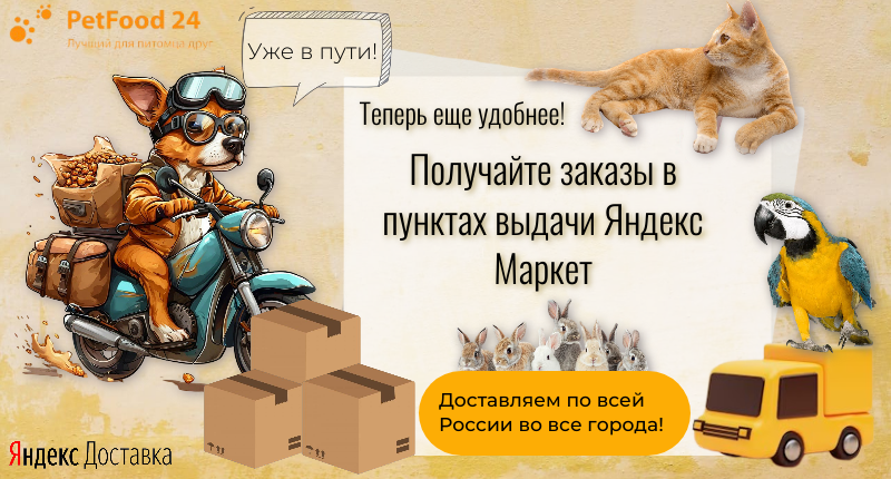 Мы запустили Яндекс Доставку