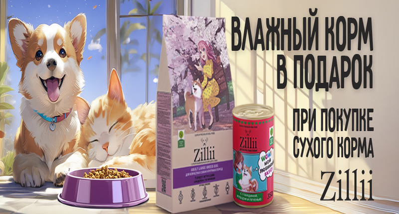 Акция! При покупке сухого корма Zilli влажный корм в подарок