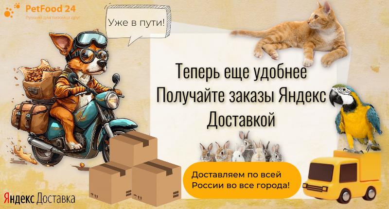 Мы запустили Яндекс Доставку