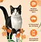 Almo Nature HOLISTIC Сухой корм для взрослых кошек со свежей курицей и коричневым рисом, Life Maintenance, Fresh Chicken #2