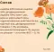 Almo Nature HOLISTIC Сухой корм для взрослых кошек со свежей индейкой и коричневым рисом, Life Maintenance, Fresh Turkey #3