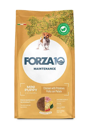 Купить forza10 maintenance puppy mini pollo сухой корм для щенков мелких пород и сук в период беременности и лактации, с курицей