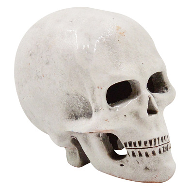 ZOOexpress Грот Череп Г4 для аквариума