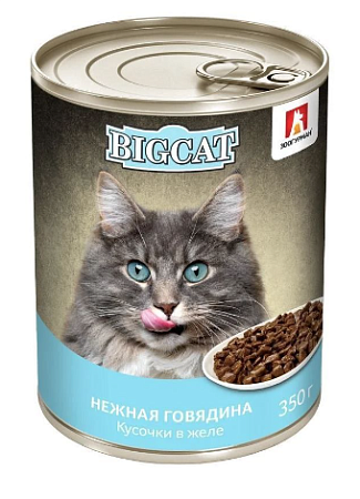 Купить Зоогурман big cat консервы для кошек курица с говядиной в желе