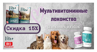 Скидка 15% на мультивитаминные лакомства Vita+ и BioPetActive для кошек и собак
