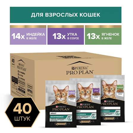 Купить purina pro plan набор паучей для взрослых кошек вкусные кусочки с индейкой в желе, нежные кусочки с уткой в соусе, вкусные кусочки с ягненком в желе