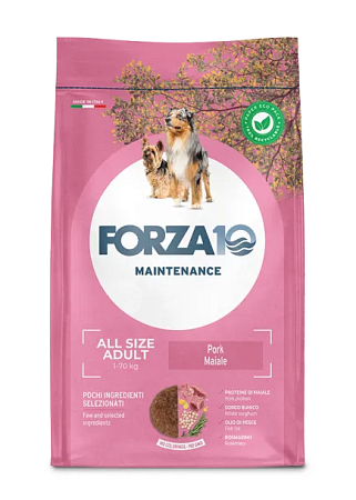 Купить forza10 maintenance dog adult all size сухой корм для взрослых собак всех пород со свининой